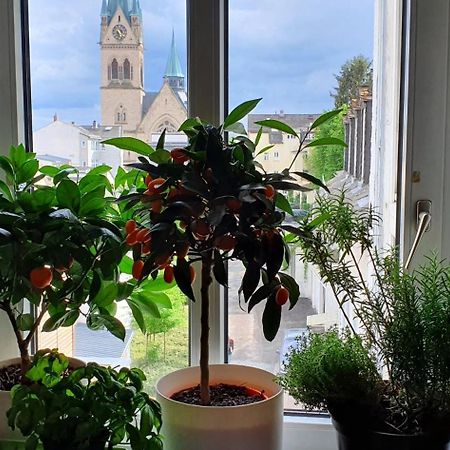 Von Privat, Grosses Zimmer Sehr Zentral In Bad Homburg Stadtmitte Bad Homburg vor der Höhe Εξωτερικό φωτογραφία