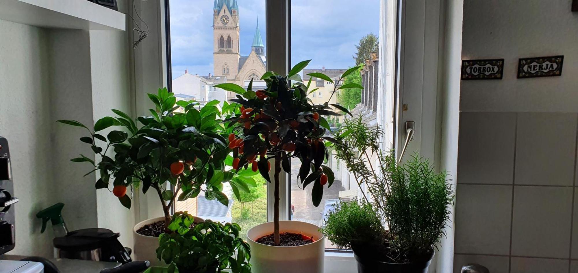 Von Privat, Grosses Zimmer Sehr Zentral In Bad Homburg Stadtmitte Bad Homburg vor der Höhe Εξωτερικό φωτογραφία
